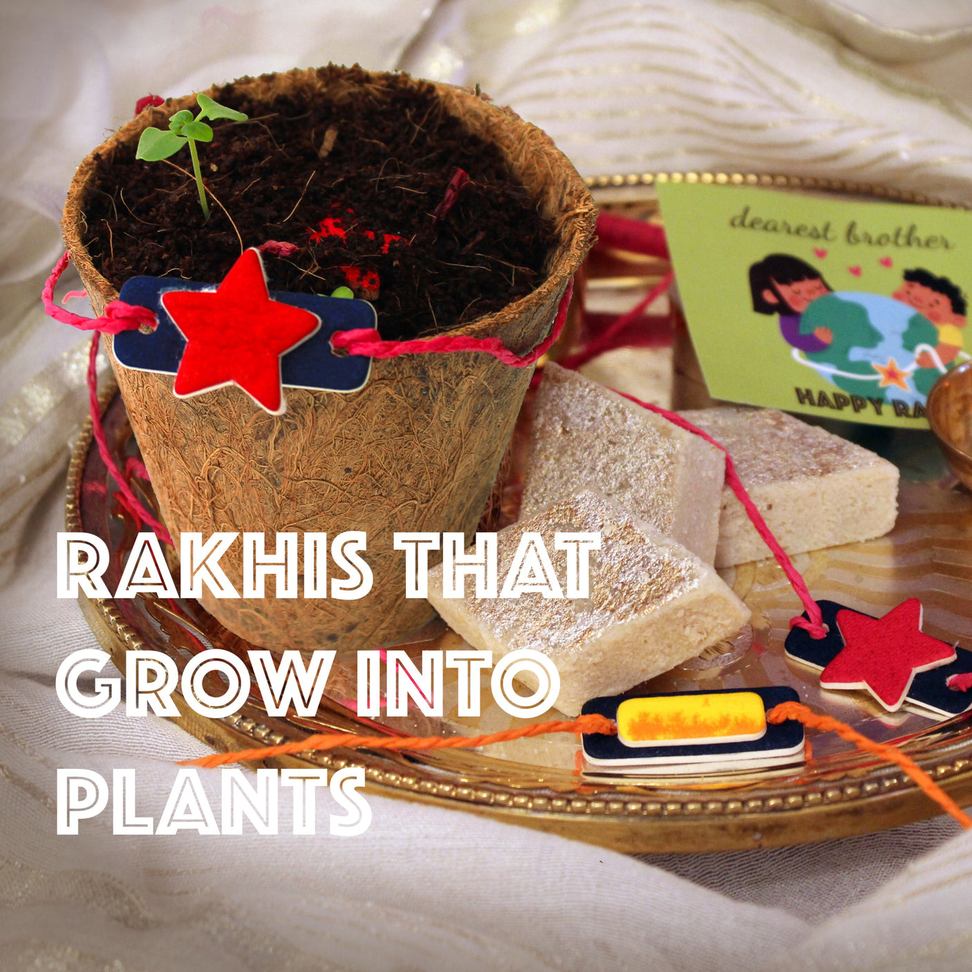 Plantable Rakhi - Growing Kit