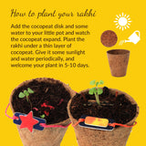 Plantable Rakhi - Growing Kit