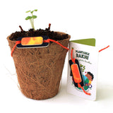 Plantable Rakhi - Growing Kit