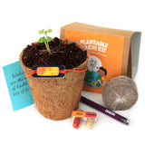 Plantable Rakhi - Growing Kit